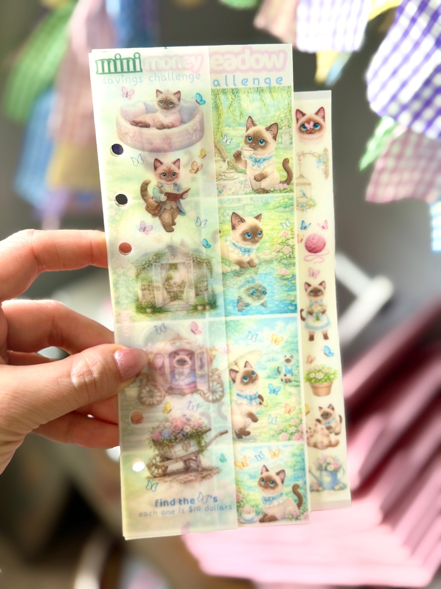 Koko's Garden Meadow Savings Challenge🦋🐱