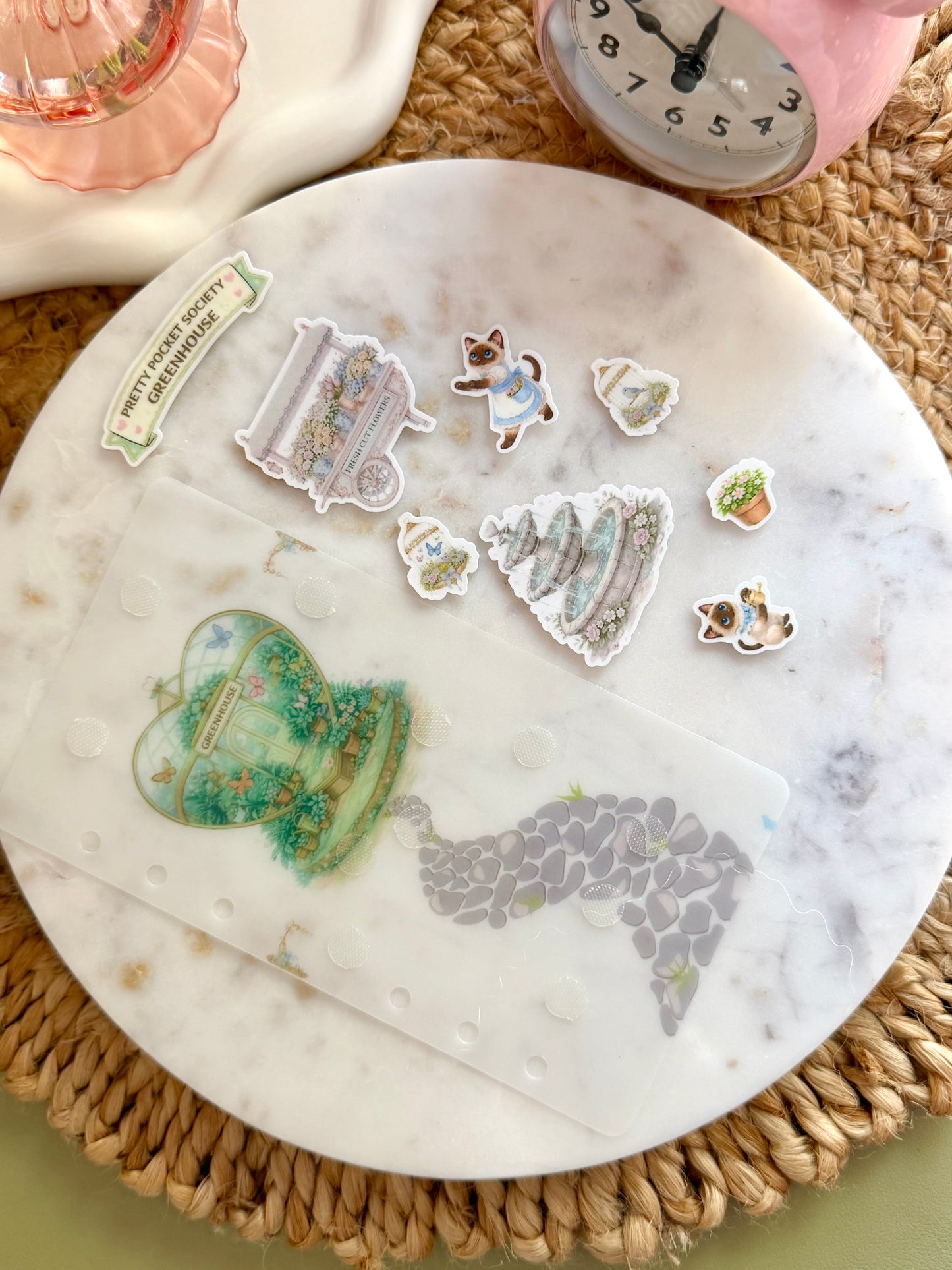 Koko's Pocket Greenhouse Savings Challenge🌷