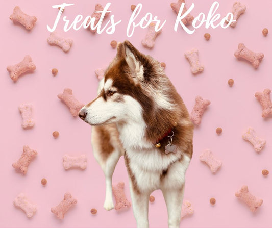 Treats for Koko