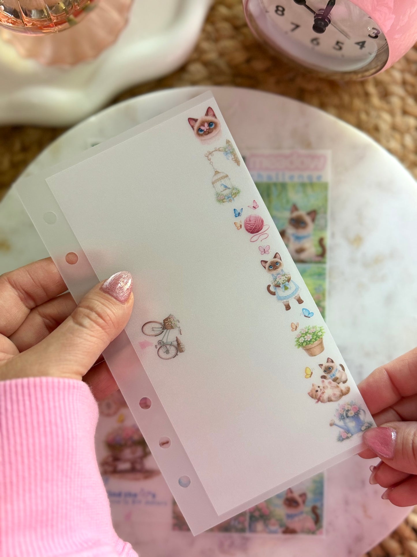 Koko's Garden Meadow Savings Challenge🦋🐱