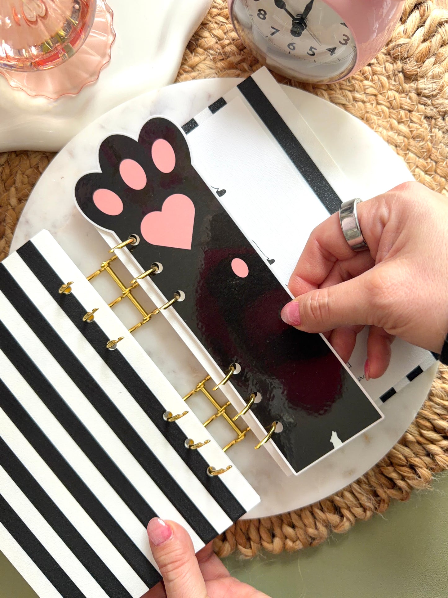 Peek-a-Paw Divider