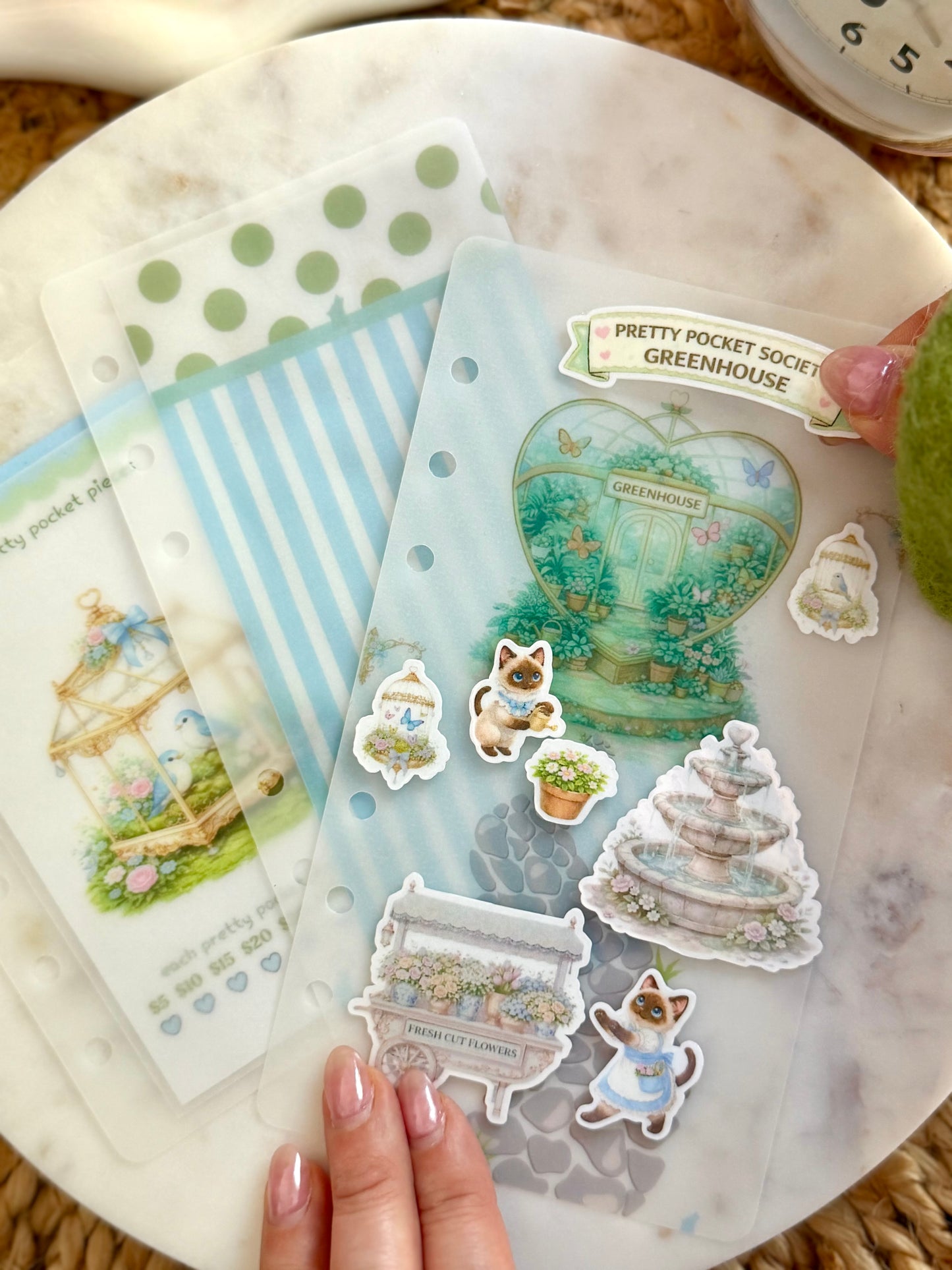 Koko's Pocket Greenhouse Savings Challenge🌷