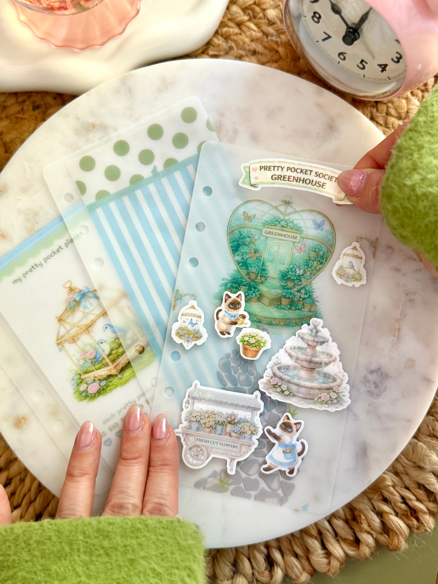 Koko's Pocket Greenhouse Savings Challenge🌷