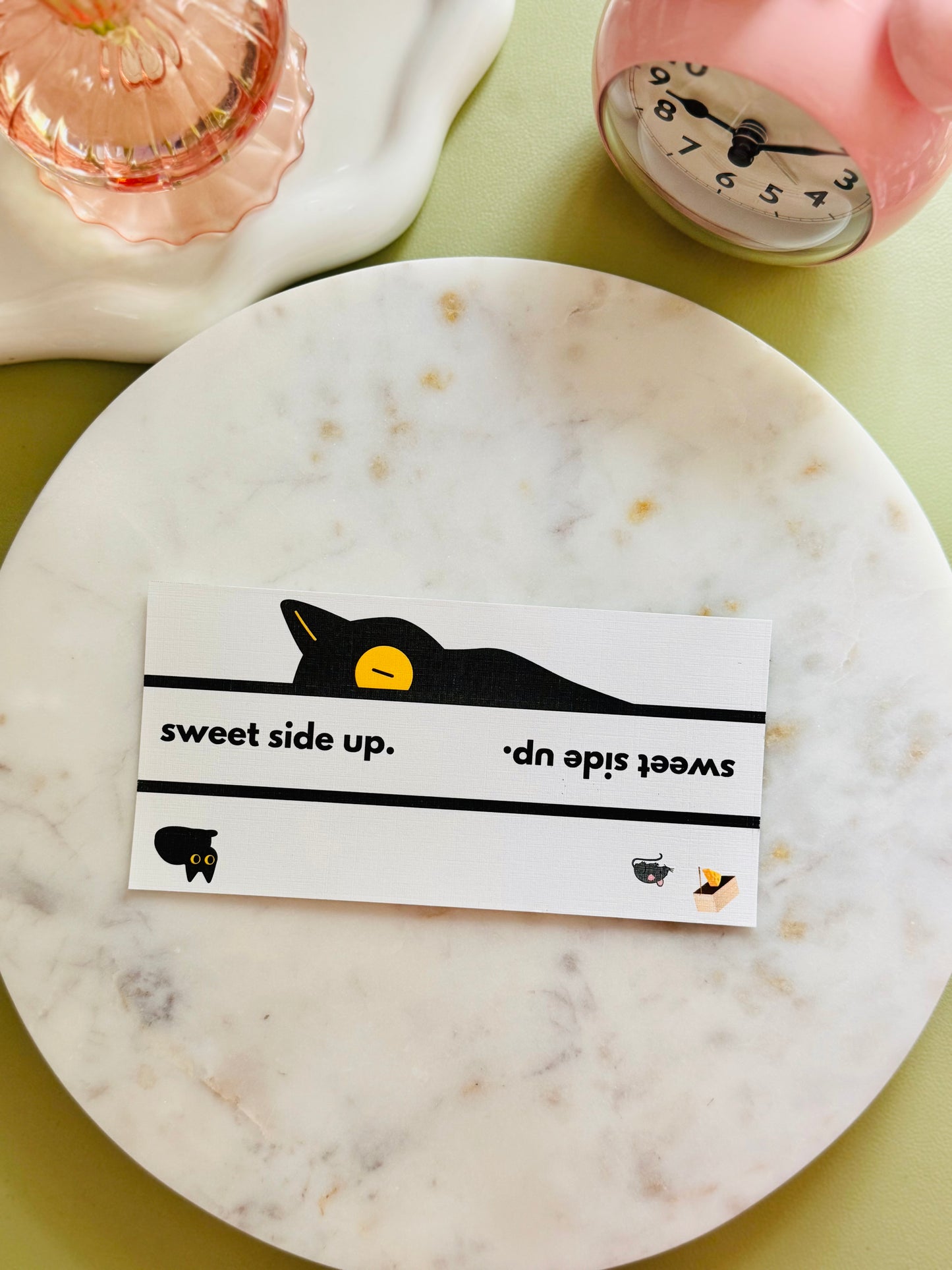 Shadow Paws Pocket Peeker